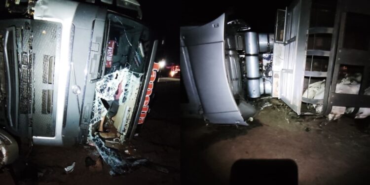 Carreta boiadeira tomba na BR-262, animais morrem e duas pessoas ficam feridas; veja vídeo