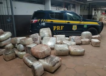 PRF apreende caminhão com mais de 550 kg de drogas na BR-262, em MS