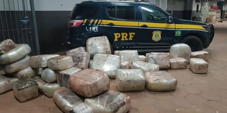 PRF apreende caminhão com mais de 550 kg de drogas na BR-262, em MS