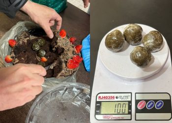 Mãe de preso é detida ao tentar entrar com maconha escondida em bolo de aniversário em presídio
